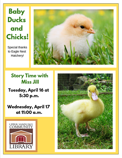 STORY TIME WITH BABY DUCKS AND CHICKS INFORMATION